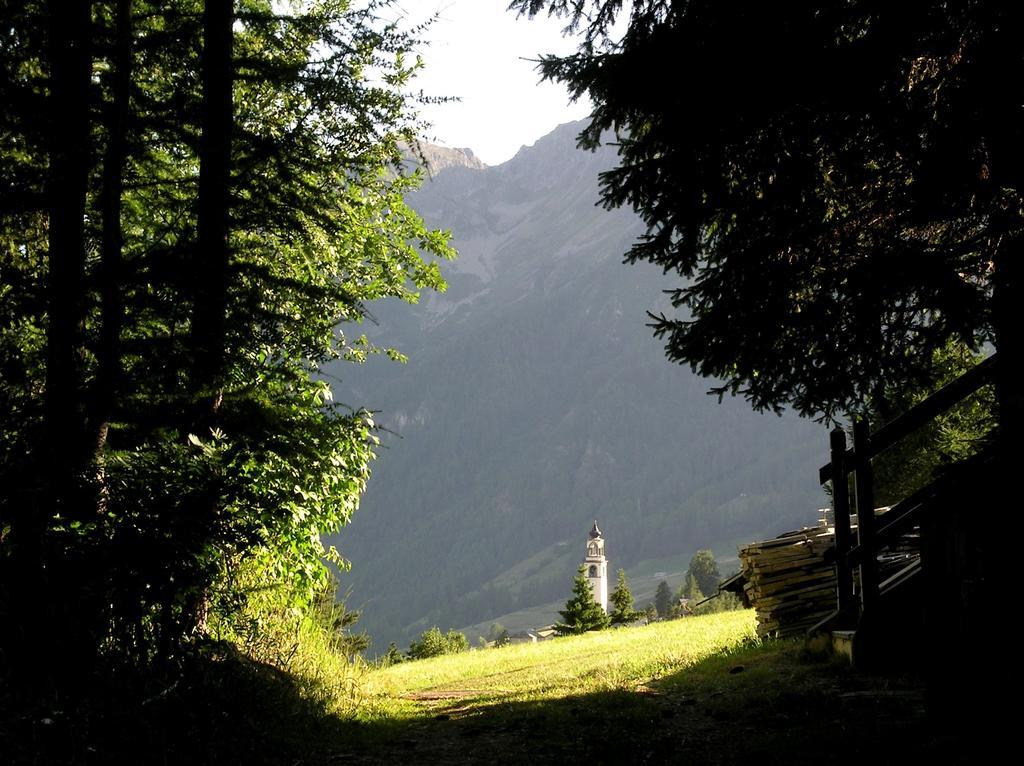 Residence Lo Peyo Champoluc Exterior foto