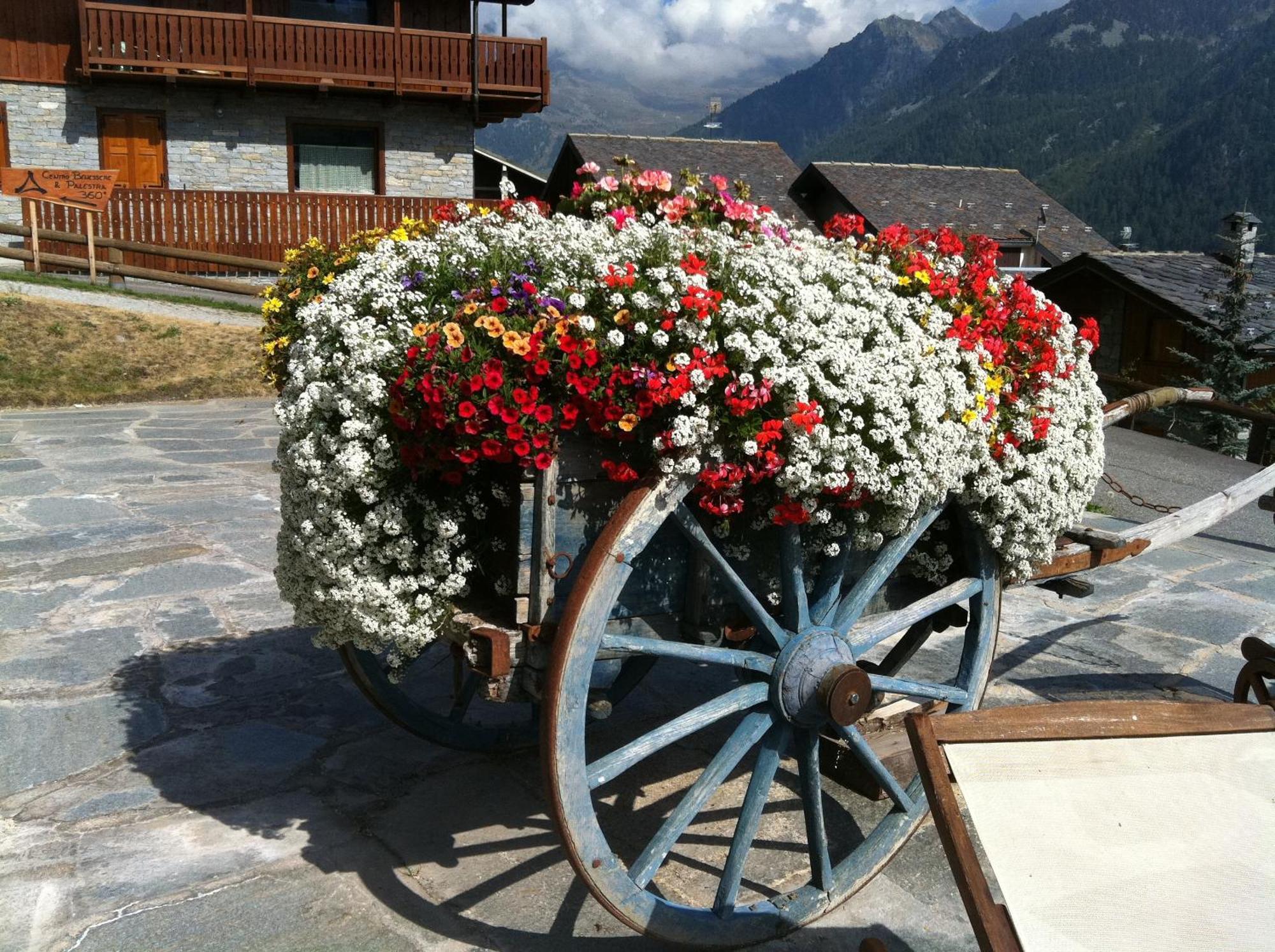 Residence Lo Peyo Champoluc Exterior foto